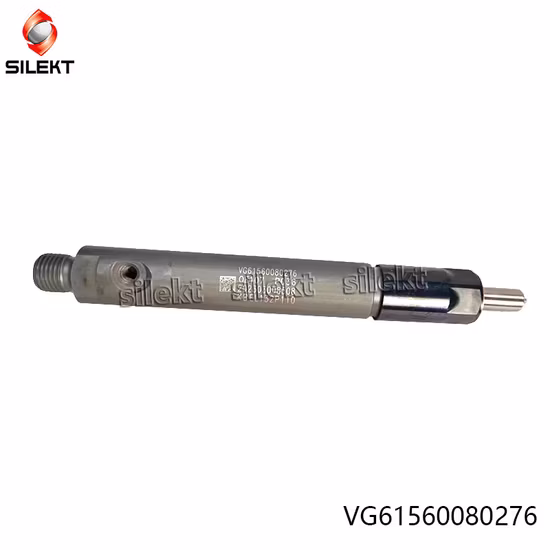 Fuel Injector Vg1560080276 61560080276 Weichai Euro II Truck Engine Parts Diesel Fuel Injector Wd615 Str Egr Common Rail Nozzle Piunger
